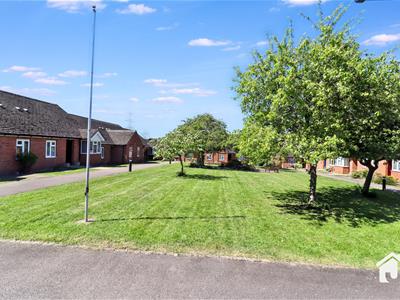Picture 20